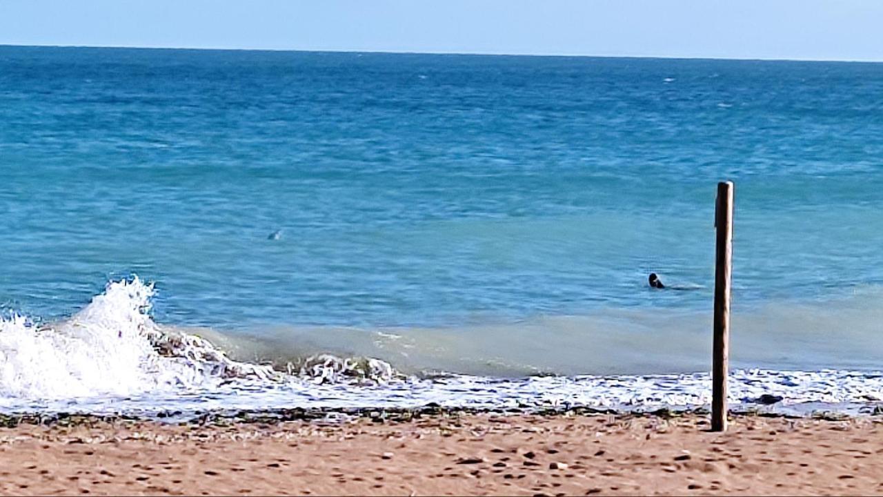 Chez Chon Et Jean-Marie Appartamento Hermanville-sur-Mer Esterno foto